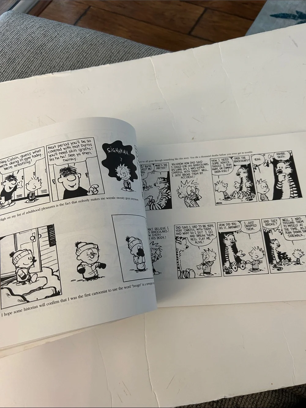 Calvin and Hobbes Tenth Anniversary Book by bill watterson copyright 1995